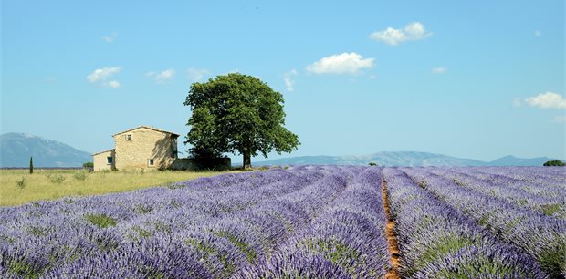 Insight Vacations | Country Roads of France - Classic Group
