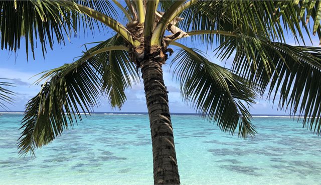 Blog: Cook Islands Travel Tips