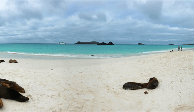 Blog: Flavoured Oxygen, Hummingbirds and Zodiacs