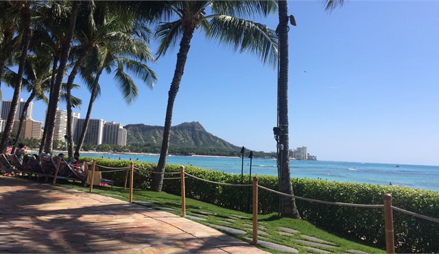 Blog: A Couple's Dream Holiday Hawaiian-Style