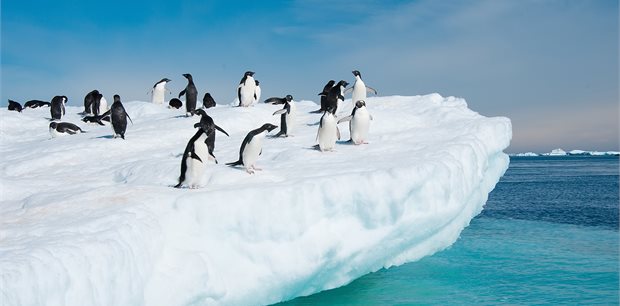 VIP Antarctica cruise, hosted by Sir John Key & Professor Mike Stroud OBE