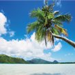 Melanesia & Polynesia: Island Cultures & Coral Coasts