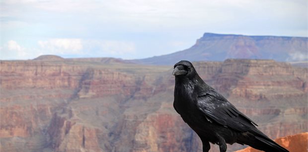 Grand Canyon – a Natural Wonder of the World