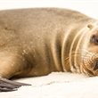 World Journeys | Galapagos Island Hopping