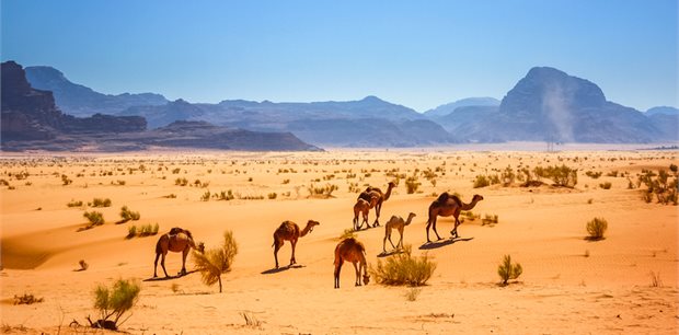 World Journeys | Oman Wilderness