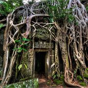 Intrepid | Cambodia's Secrets of Angkor