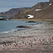 Intrepid | Antarctic Peninsula, Falkland Islands & South Georgia