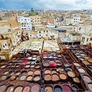 Intrepid | North Morocco Adventure