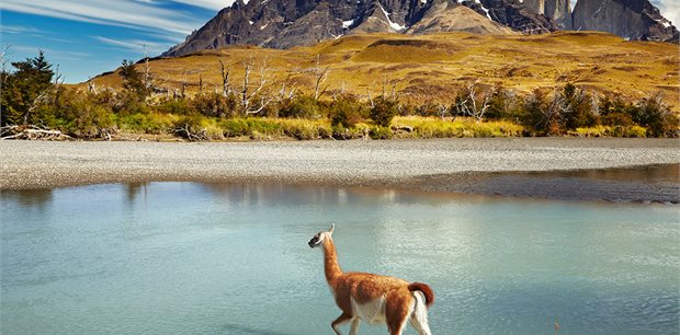 Intrepid | Patagonia Wilderness