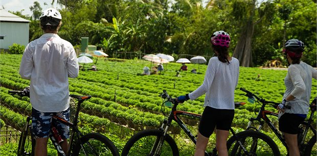 Intrepid | Cycle Vietnam