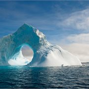 Intrepid | Best of Antarctica In Depth (Ocean Endeavour)